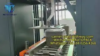 Bag Inserter Frozen chicken whole line automatic packaging food packaging machine