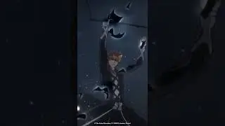 Ichigo's 