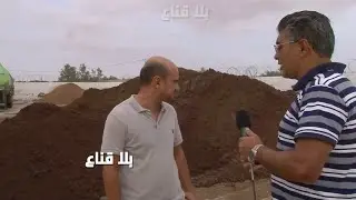 أسرار الزيتون في تونس..ثروة لاتقدر بثمن للزيت لكن الثروة الأكبر في الفيتورة التي لايعرفها أحد !!