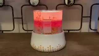 WHITE BARN MANGO WATERS CANDLE REVIEW‼️