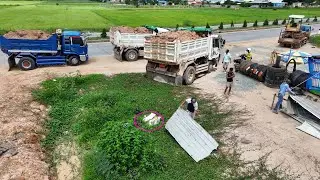 Great Skills Dump Trucks Starts Dumping Land New Project And Smart Bulldozer pushing Land