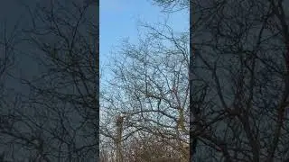 Norwegian Airline take off from Gatwick airport