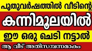 പുതുവർഷത്തിൽ വീടിന്റെ കന്നിമൂലയിൽ നട്ടാൽ ഗുണഫലങ്ങൾ നൽകുന്ന ചെടികൾ Vastu tips malayalam