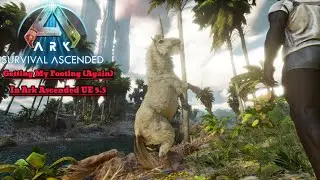 Getting My Footing (Again) In Ark Ascended UE 5.5 ASA