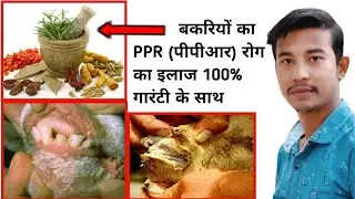 PPR Disease in Goat & sheep |भेड़ और बकरियों में होने PPR रोग का कारण,लक्षण,टीकाकरण व इलाज कैसे करें