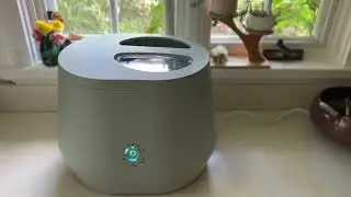 Lomi Bloom Review