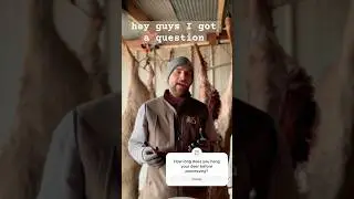 How Long Do you Hang your Deer before Processing it? | Buck Bourbon