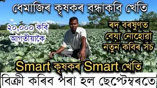 ছেপ্টেম্বৰতে ২০,০০০ কবি বিক্ৰী কৰিব পৰাকৈ খেতি কৰিলে ধেমাজিৰ কৃষকে। Bondhakobi Kheti । Pranjal Gogoi