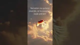 Nečekej a jednej.#motivation #nature #quotes #shorts #love #music  #life #krasaokamziku #cute