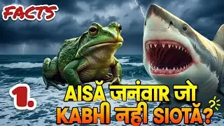 Facts video | gk questions| upsc exam questions | shocking facts | amazing facts#factsinhindi 