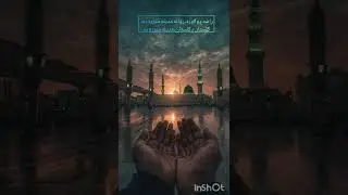 راشه ووګوره، روانه مدینه منوره ده۔ ګلستان د ګلستان، مدینه منوره ده