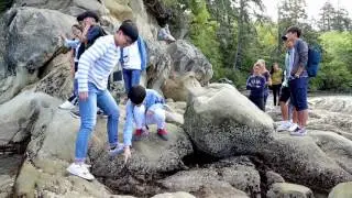 Western Summer English Adventure Camp (Chinese Subtitle)
