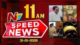 Speed News | 11 AM News Headlines | 31-01-2026 | NTV Telugu