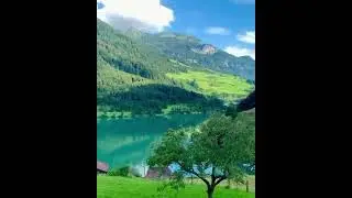 Switzerland green nature relaxingsoothen videoahort #shorts #nature #water #relaxingsoothen