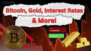 2024 Finance Wrapped: Bitcoin, Gold, & Interest Rates #bitcoin #gold