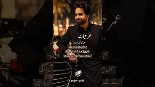 Bakht Novel by Mehrunisa Shahmeer|Urdu Novel|#shorts#viral#viralvideo#trending#love#video#novel#fyp