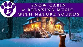 Calming Melodies for Pets (8 Hours) 🐶 Snow Cabin Peaceful Music with Relaxing Nature Sounds