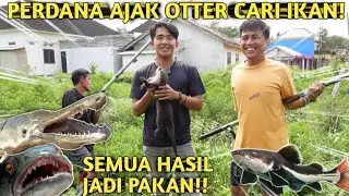 PERTAMA KALI AKU AJAK OTTER BERTUALANG UNTUK CARI PAKAN IKAN MONSTER