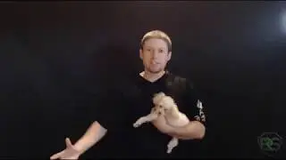 Building a Pen Testing Lab @ Home (w/ Puppies!) - Part 1: Installing Virtual Box