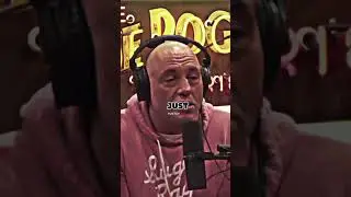 The school system is fu**ed🤨 #shorts #viral #school #joerogan #podcast