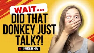 Wait - Did That Donkey Just Talk?!