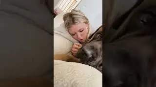 ДОКАЗАТЕЛЬСТВО: Моя собака целуется слаще всех! #собака #собаки #милаясобака