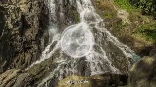 Guided Meditation on the Gut - Brain Connection - 13 Key Program