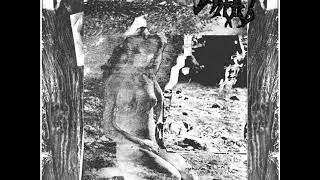 СРАНЪ & brokenchelust - Split (2019) (Noisecore, Noisegrind, Powerviolence)