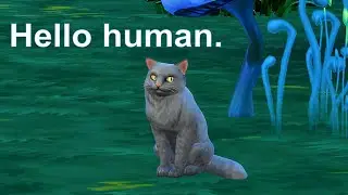 Who is this talking cat?  Sims 4 Iron Fey shorts