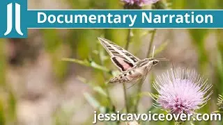 Documentary Narration Demo