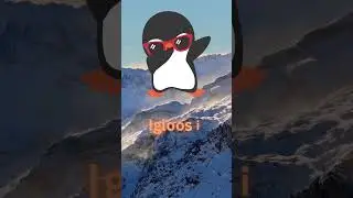 Penguin Giggles for Little Wiggles 🐧😆 5
