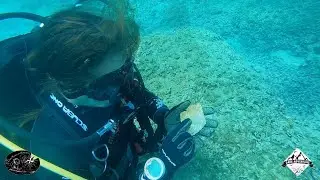 Relitto delle Macine
