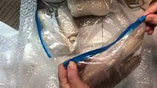 BJD Unboxing | Opening I.O.S. 
