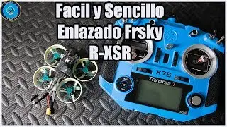 CineBee 75HD Enlazado Receptor Frsky R XSR