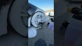 F10 M5 Dirty Wheel Cleaning | Maintenance Wash #automobile #cars #detailing