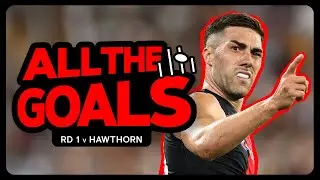 EVERY goal from round one against the Hawks including Zach's freakish goal from the boundary line.