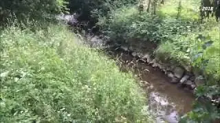Flutwelle (mini Tsunami) | Bach nach Gewitter (after a thunderstorm) | Part 4