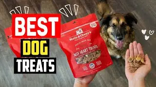 ✅Best Dog Treats in 2025