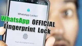WhatsApp Fingerprint Lock Update [OFFICIAL] How to lock WhatsApp with Fingerprint on Android / iOS