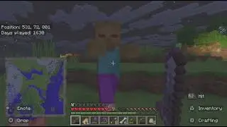 Minecraft look'n4new