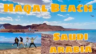 📍 HAQAL BEACH | JORDAN BORDER