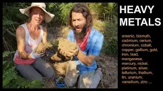So you have heavy metals in your soil, now what?
