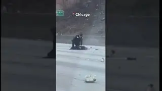 Rollover crash with 3 ejected onto the expressway and weapons recovered from the vehicle.