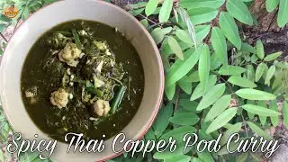 Spicy Thai Copper Pod Curry with ant eggs and fresh fish balls (Clown Knifefish)| healthy food