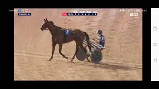 Jingle du Pont et Nicolas Bazire 1ers Enghien 30 juillet 2025