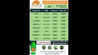 jhk market prices | Ts market prices | Today Paddy market prices in Telangana |      @jaihokisan