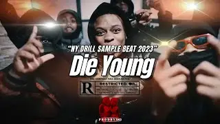 [FREE] Edot Baby x Blockwork x Sha EK Drill Type Beat 2023 - &ldquo;Die Young&rdquo; | NY DRILL SAMPLE