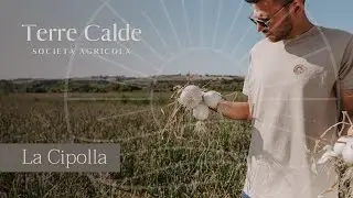 La Cipolla Terre Calde