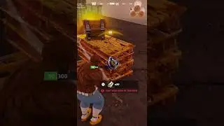 Exotic! #rare #exotic #fortnite #viralshort #ytshorts #subscribe