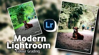 Modern Lightroom Colour Grading | Lightroom Colour Grading | New Look 